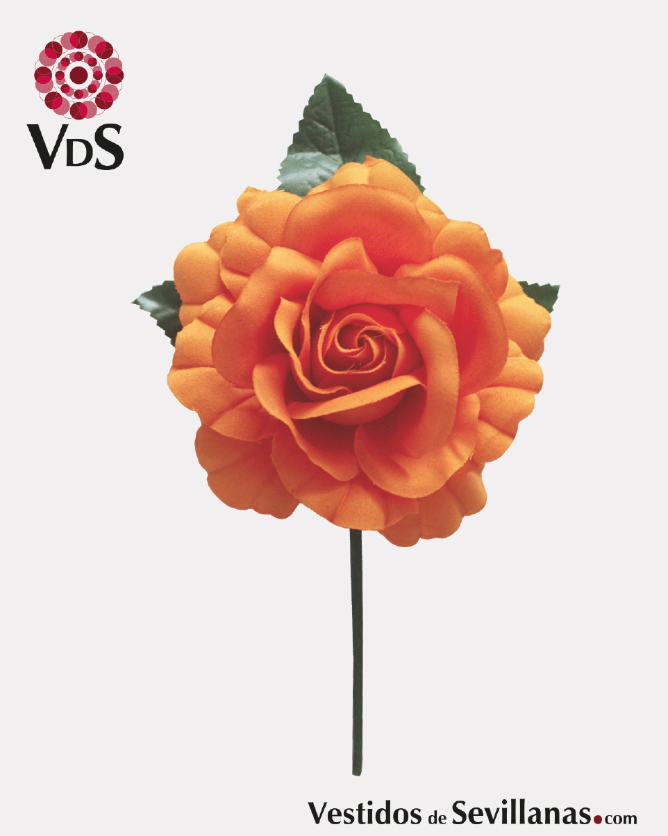 Flor J&Aacute;NDULA Tallo T.M_3col